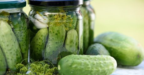 21 fermentierung d701923e