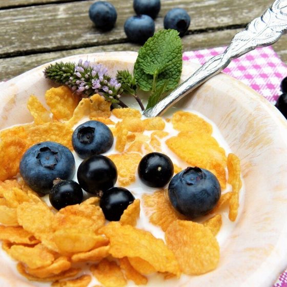 29 zuckerfallen f8d123b7