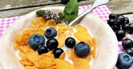 29 zuckerfallen f8d123b7