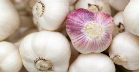 27 knoblauch 40f4d3cb