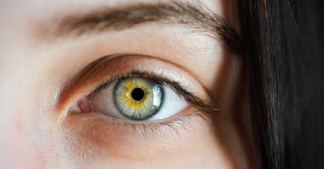 29 aphantasie 31f75030