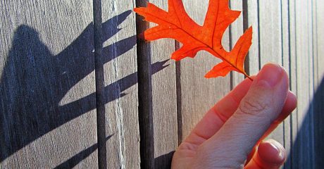 12 blasenkrebs 28a98441