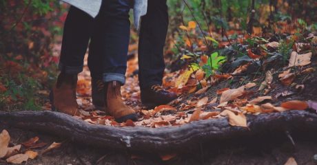 14 blutarmut 96b95077