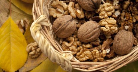 15 brainfood c0daa661