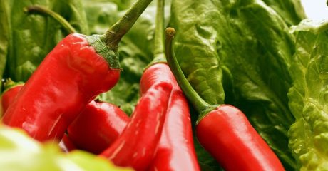 14 capsaicin 9ade37aa