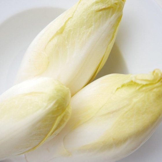 17 chicoree 0b5f1b70