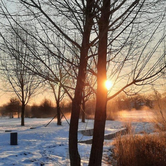 17 immunsystem 5b745818