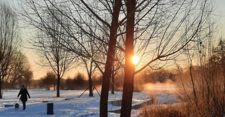 17 immunsystem 5b745818