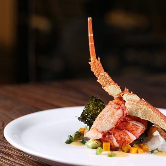 09 cholesterin f8af966d