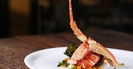 09 cholesterin f8af966d