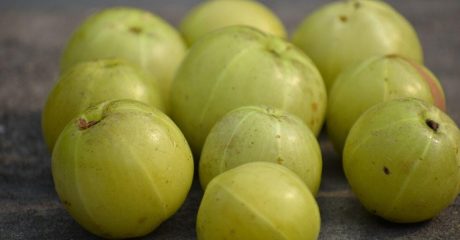 24 amla frucht 0ec40d5c