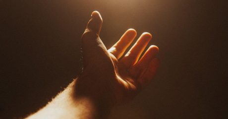 12 die haut 8e23f40b