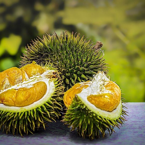 20 durian 2ec91a07