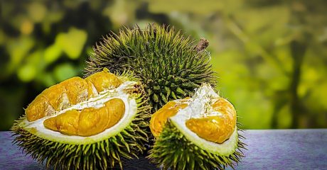 20 durian 2ec91a07