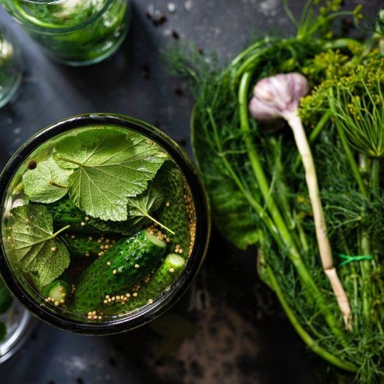 19 ernaehrung im winter f3159811