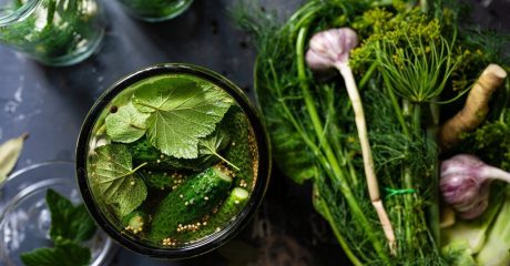 19 ernaehrung im winter f3159811