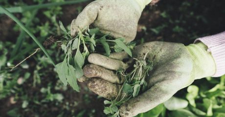 18 gartenarbeit 14c31107