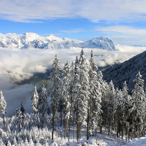 05 bergluft 9defbe2c