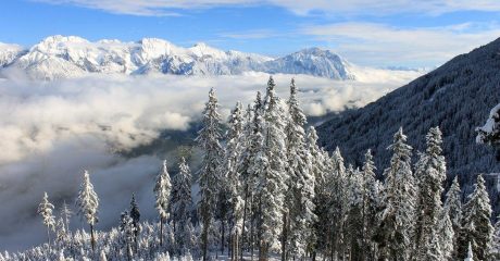 05 bergluft 9defbe2c