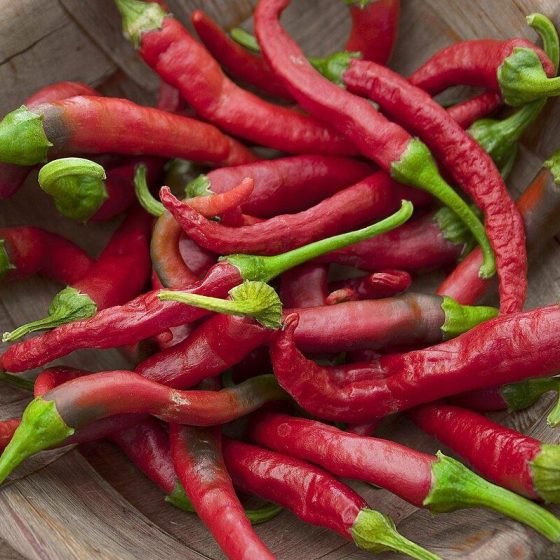 25 schaerfe 50ee44ba