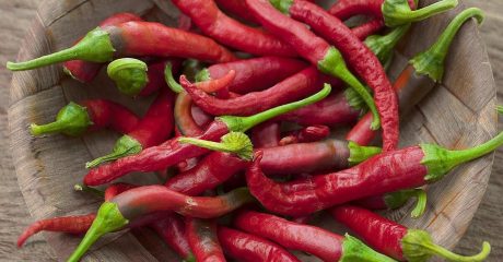 25 schaerfe 50ee44ba