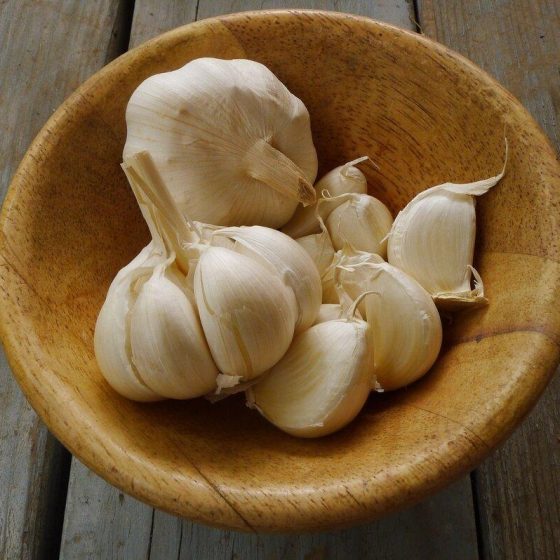21 knoblauch c03cb0c0