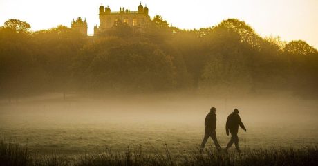 24 hodenkrebs cd92f862