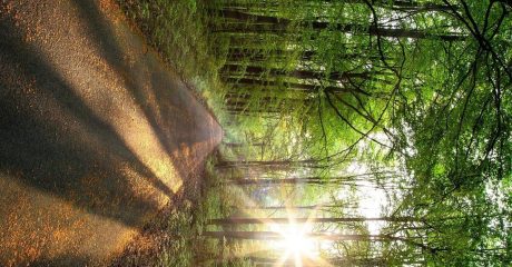 10 psychische gesundheit 37c78ebf