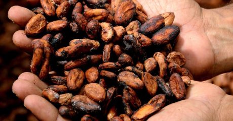 02 kakaobutter fa85d7f3