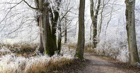 13 winterdepression dd1a8bbe