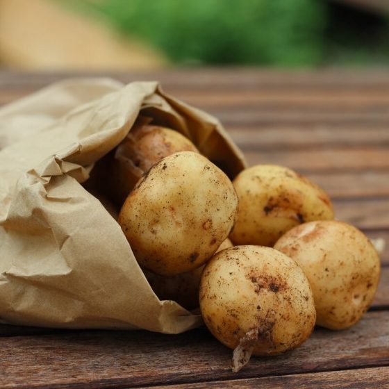 17 kartoffelprotein 9d25fcd0