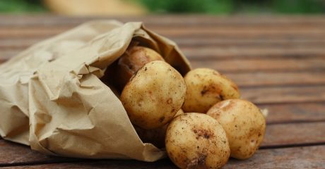 17 kartoffelprotein 9d25fcd0