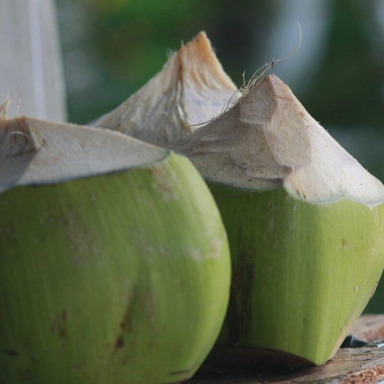 30 kokoswasser 0e6f88e6