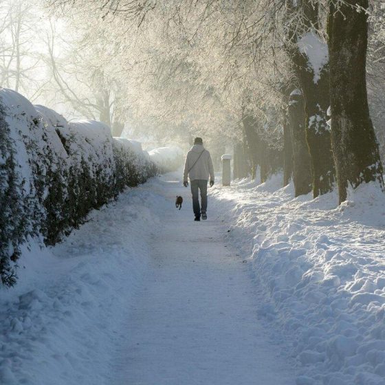 15 krampfadern 32771289