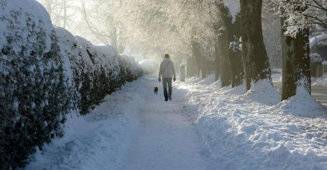 15 krampfadern 32771289