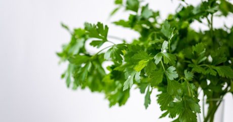 11 kraeuter 0bbb4081