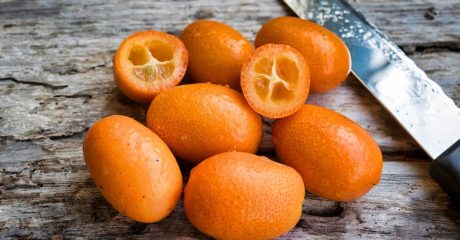 25 kumquats 73206c57