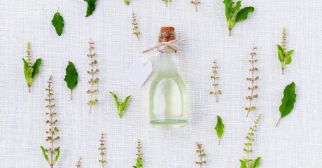 01 spagyrik 2935acc2