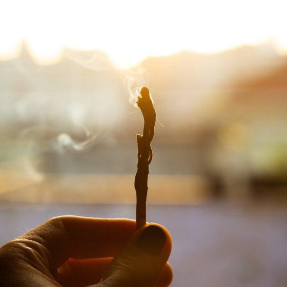 20 palo santo 0d19c7dc