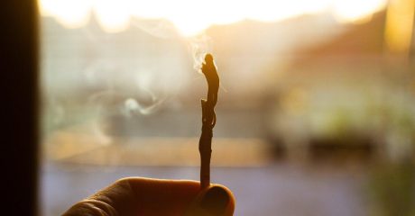 20 palo santo 0d19c7dc