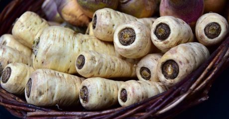 21 pastinake 9da0ab95