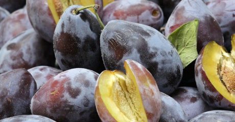 24 pflaumen 151500d6