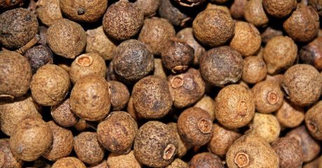 20 piment 4b5962ea