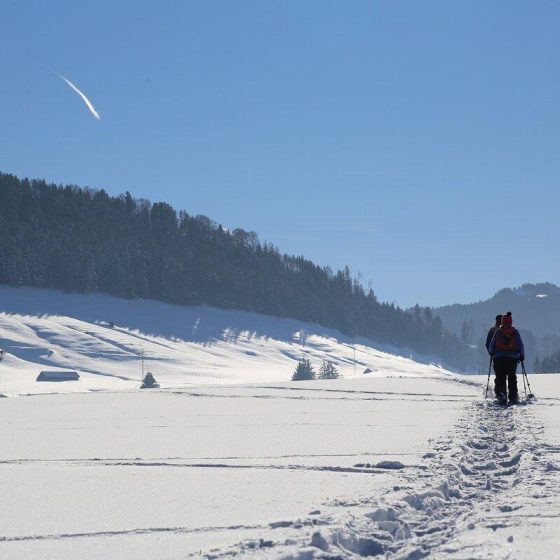 09 schneeschuhwandern 285872cc