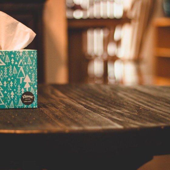 06 schnupfen 69d1d941