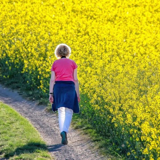 11 spazieren b97530de