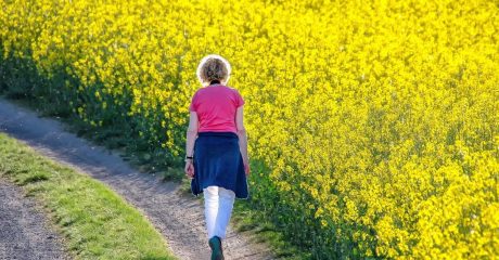 11 spazieren b97530de