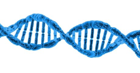 19 telemore fcaff8aa