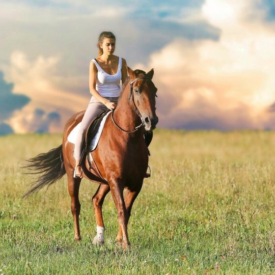 28 therapeuten 2cf02111