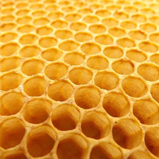 09 trypophobie fee864a1